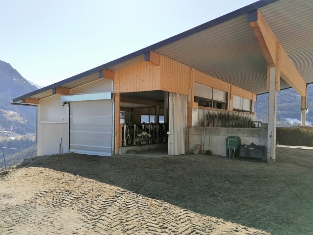 Regensburger Regensburger