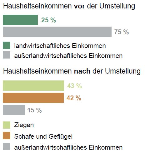 Grafik Einkommen