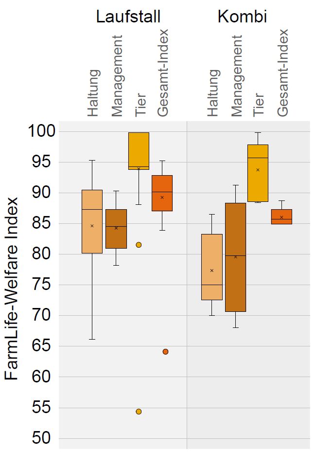 Grafik