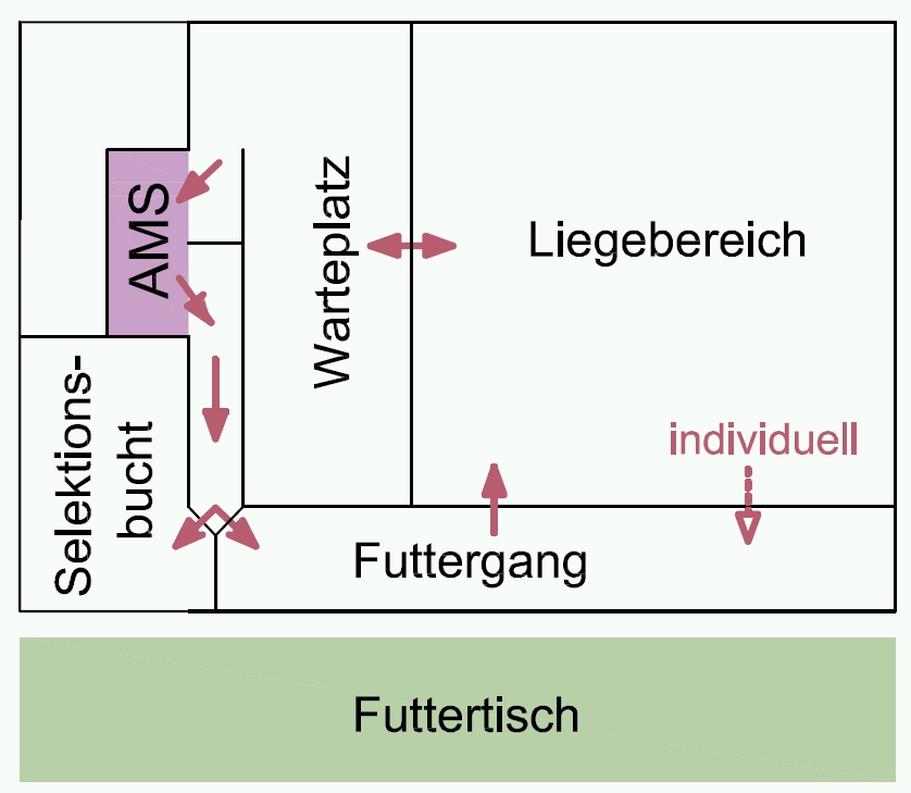 AMS